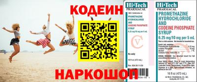 шишки Славгород