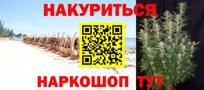 шишки Славгород