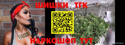шишки Славгород