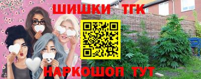 шишки Славгород