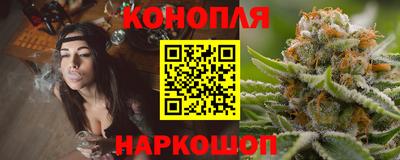 шишки Славгород