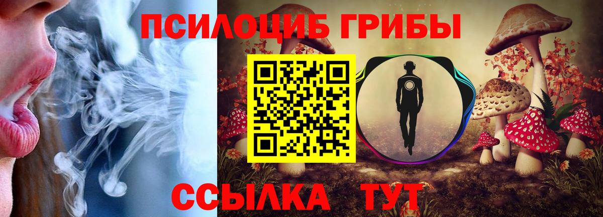 Алушта  Псилоцибиновые грибы GOLDEN TEACHER  Псилоцибиновые грибы прущие грибы  Вход с VPN 